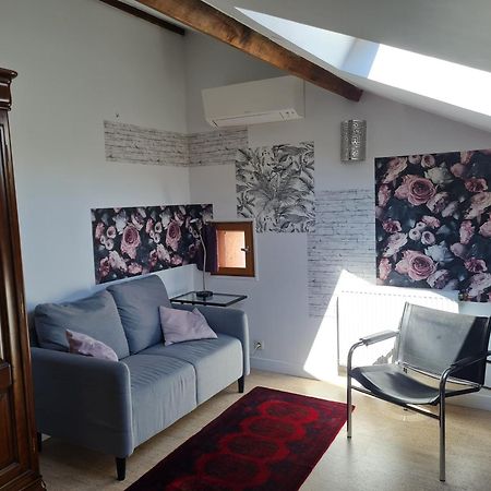 Espace Beleverte Bussiere 1 Tamaris Appartement Meuble De 2 Chambres Oullins Dış mekan fotoğraf